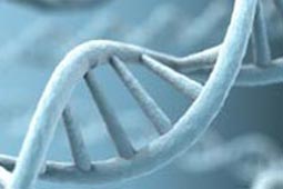 攻击网站在线工具